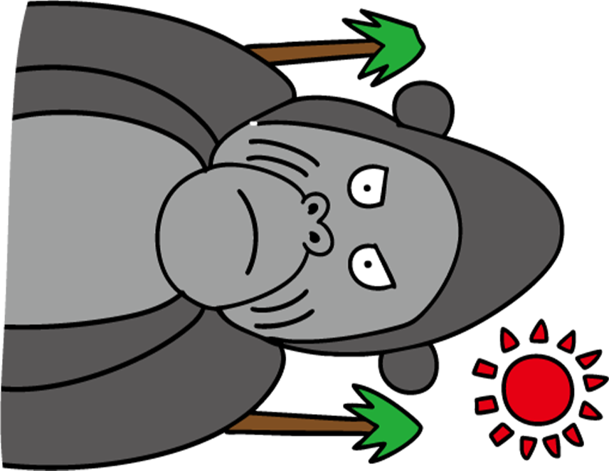 イラスト